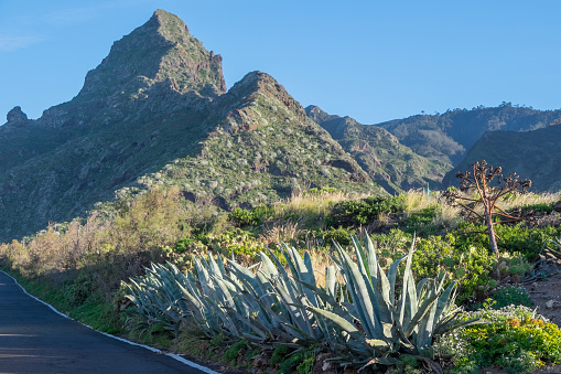 Landscape with the Anaga mountains in Tenerife, Canary Islands