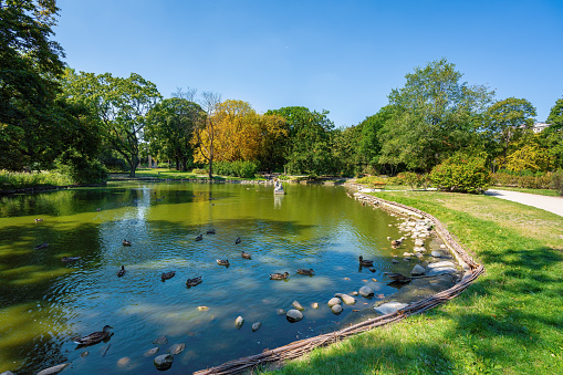Lake at Krasinski Palace Gardens - Warsaw, Poland