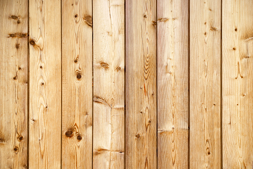 Closeup texture of the wall made of knotty sanded wooden boards as a retro natural background