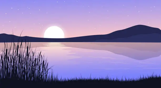 Vector illustration of Sunset on the river bank. Swamp reeds, grass, cattails in the foreground. Mountain landscape in the evening twilight.