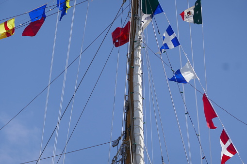 Ship masts in front of clear blue sky and a flying seagull