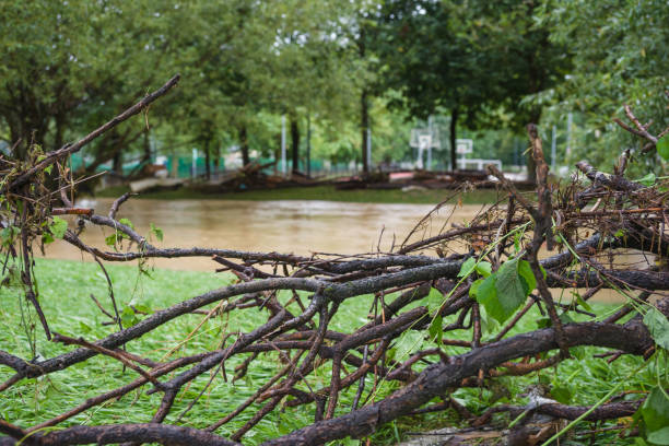 istock Flooded river after heavy rain 1640685278