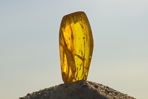 Natural, polished Baltic amber on a sandy beach in Kolobrzeg, Poland.