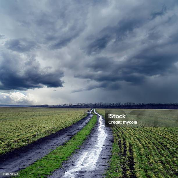 Мокрый Грязный Дорога В Поле Под Выразительное Небо — стоковые фотографии и другие картинки Без людей