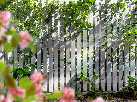 White Wooden Picket Fence of Residential House in Key West, Florida