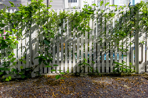 White Wooden Picket Fence of Residential House in Key West, Florida