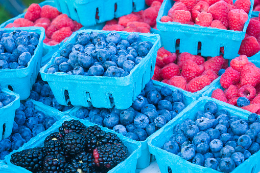 Blue paperboard boxes of freshly picked blueberries, blackberries and raspberries at a weekly farmers market on Cape Cod.