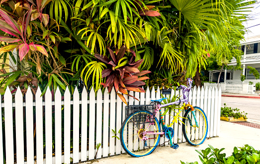 Colorful bicycle parked on residential district in Key West, Florida