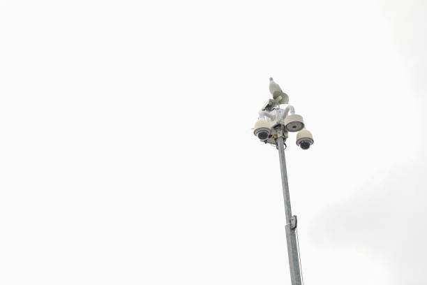 Security camera embodies vigilance, modern surveillance, privacy concerns, and a watchful society