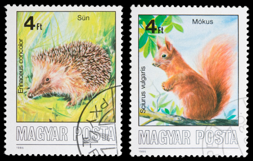 Postage stamps depicting the hedgehog and squirrel