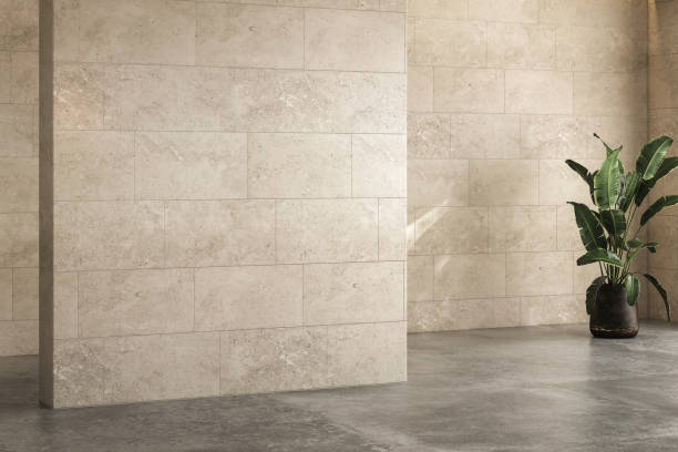 istock Modern bright minimalist interior blank wall in living room, plant , concrete floor. 3d render illustration mock up. 1640883803