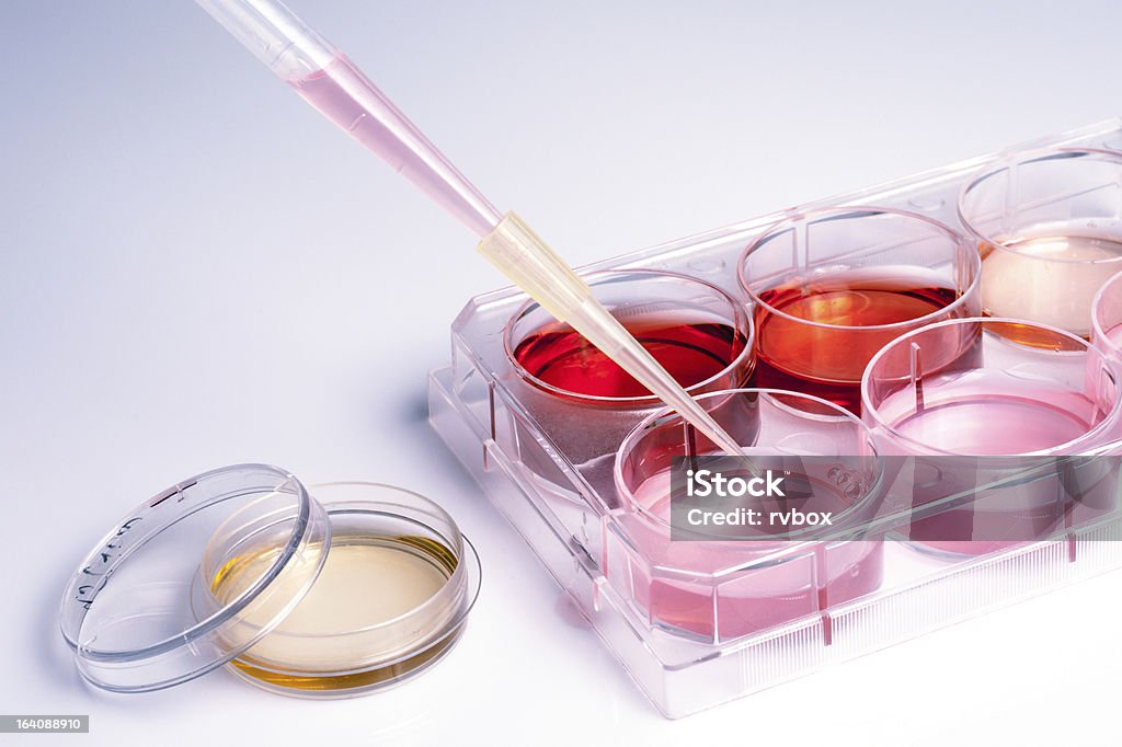 유혈 분석 - 로열티 프리 과학 스톡 사진