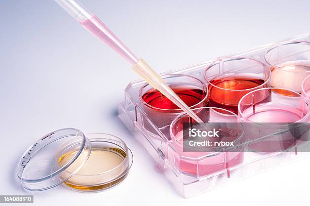 유혈 분석 과학에 대한 스톡 사진 및 기타 이미지 - 과학, 혈액 분석, 플라즈마세포