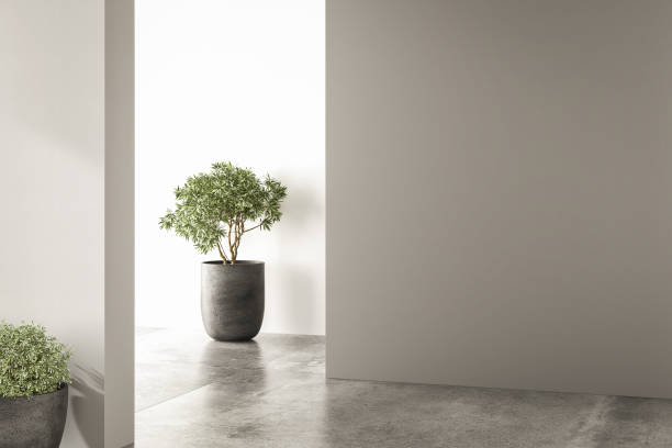istock Empty room with concrete walls, concrete floor and soft skylight from window, simple minimalist interior architecture background with copy-space. 3d rendering 1640889564