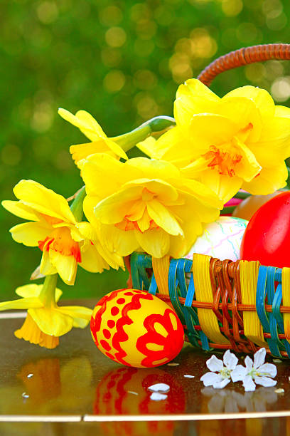 cesta de pascua. - hanging flower basket isolated fotografías e imágenes de stock