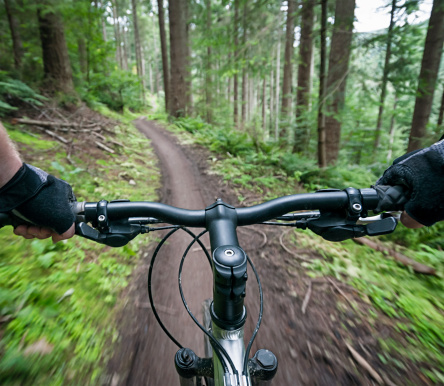 Motion blur as a mountain biker speeds along a forest track.