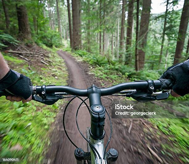 Bicicleta De Montanha Acção Perspetiva Pessoal - Fotografias de stock e mais imagens de Bicicleta de montanha - Bicicleta de montanha, Guiador, Ciclismo