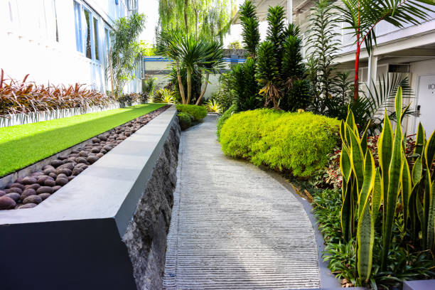 bellissimo cortile tropicale - luxury hotel palm tree lush foliage asia foto e immagini stock