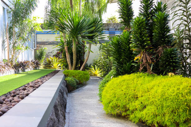 bellissimo cortile tropicale - luxury hotel palm tree lush foliage asia foto e immagini stock