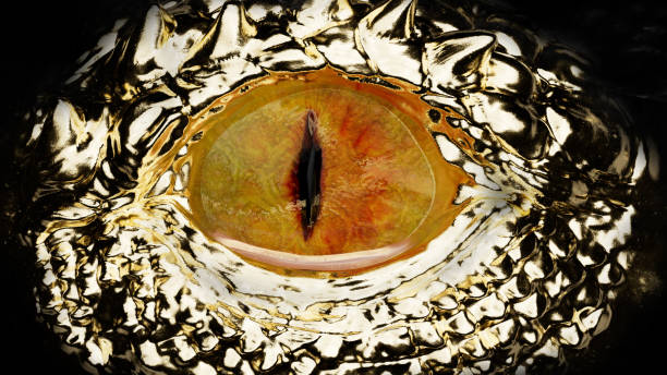 istock Golden Dragon eye close up and open 1641000102