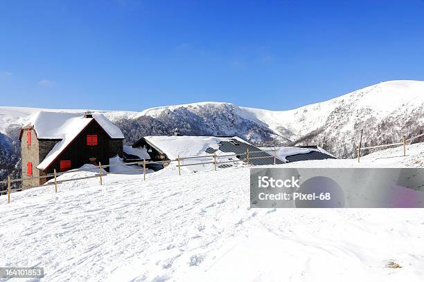 Foto de Paisagem Do Inverno Em Munster Valley e mais fotos de stock de Departamento de Vosges - França - Departamento de Vosges - França, Alsácia, Neve