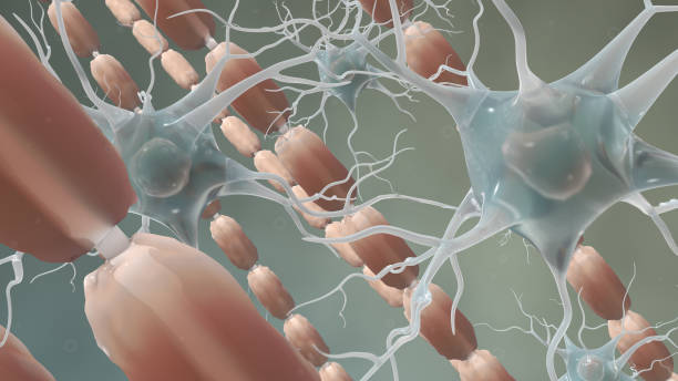 istock Myelin Sheath and neurons brain cells 3D render 1641032216