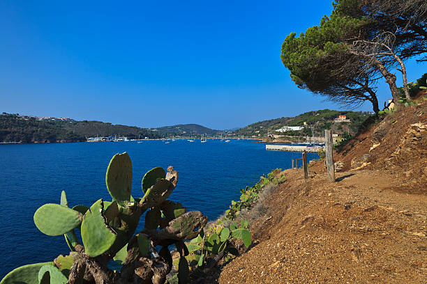 istock path to Porto Azzuro 164103548