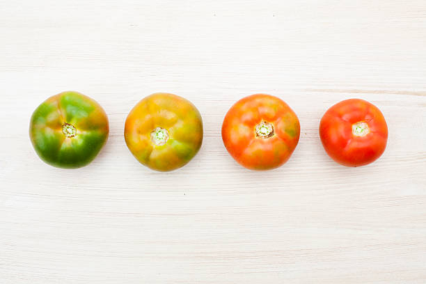 トマト ripen プロセス - evolution progress unripe tomato ストックフォトと画像