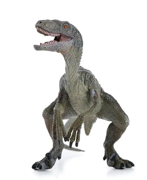 Photo of Velociraptor Dinosaur