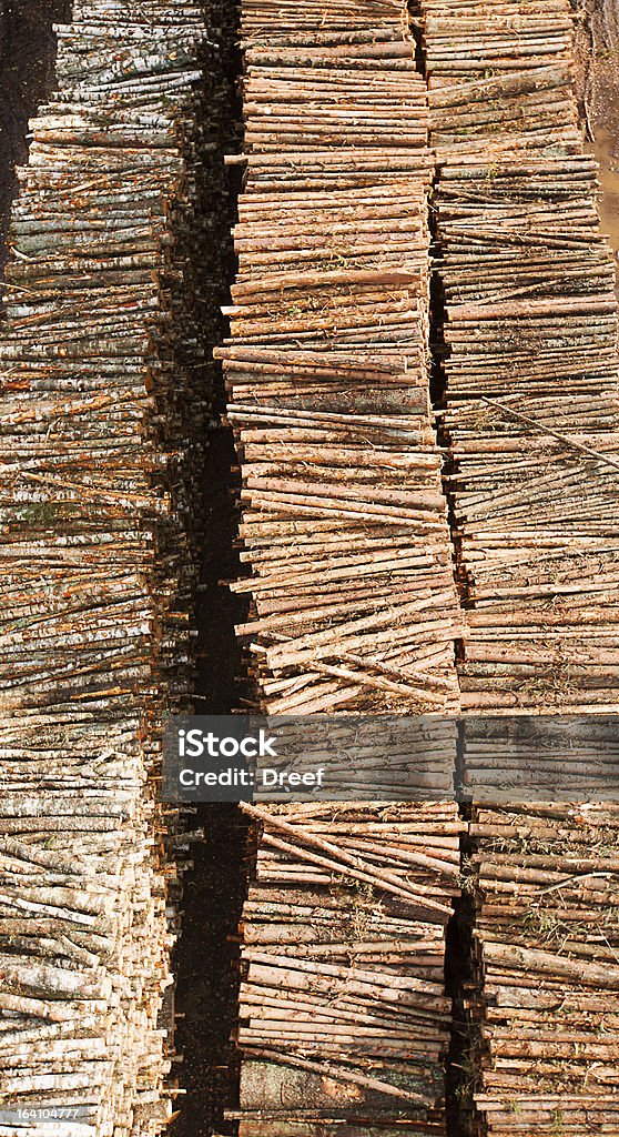 Timber des ressources - Photo de Affaires libre de droits