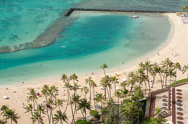 istock Ocean beach with breakwater and palm trees 164104818