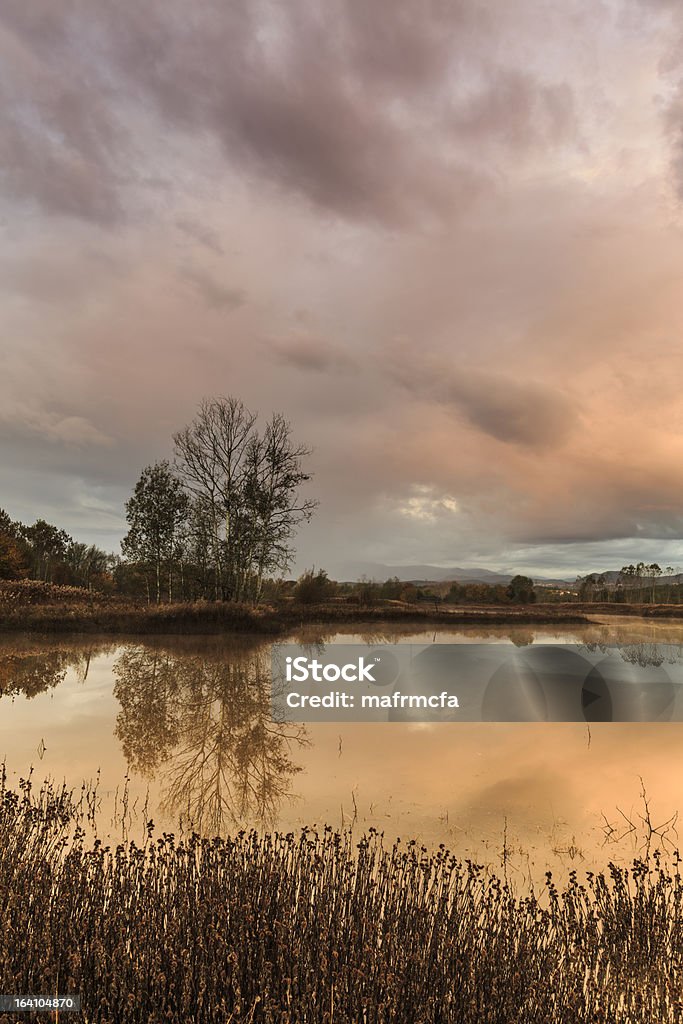 Reflextions em Lagoa - Royalty-free Amanhecer Foto de stock