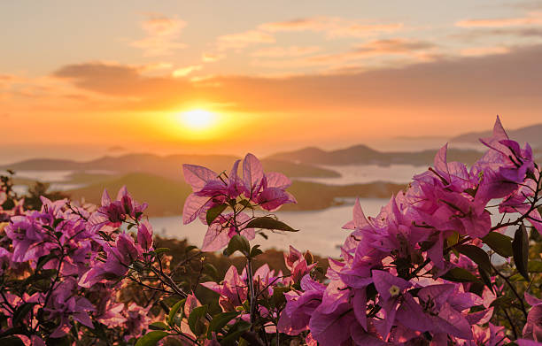 tramonto su charlotte amalie, st thomas - town of blossom foto e immagini stock