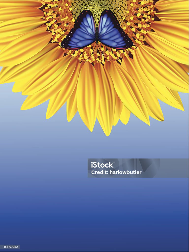 Mariposa azul en un girasol contra el cielo - arte vectorial de Agricultura libre de derechos