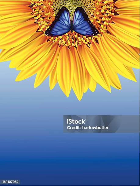 Ilustración de Mariposa Azul En Un Girasol Contra El Cielo y más Vectores Libres de Derechos de Agricultura - Agricultura, Aire libre, Amarillo - Color
