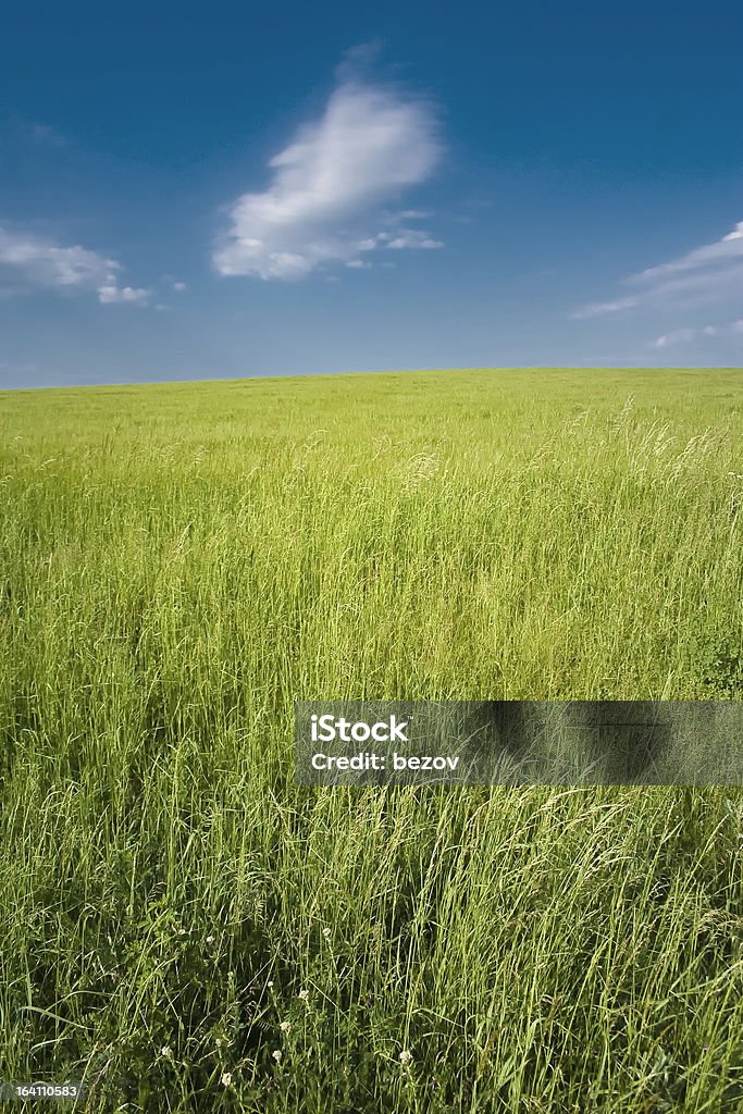 Vue sur le paysage - Photo de Bleu libre de droits