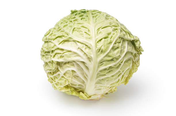White Cabbage White, savoy, cabbage, ideal for cooking or coleslaw, isolated on a white background. white cabbage stock pictures, royalty-free photos & images
