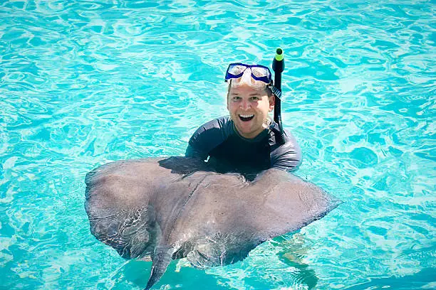 A man enjoying an ocean swim with a live stingray while on a cruise vacation