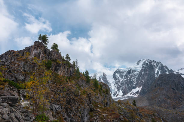 conifères au sommet d’une colline rocheuse avec une flore de montagne d’automne contre une grande chaîne de montagnes enneigée sous un ciel nuageux spectaculaire. rocher pointu et hautes montagnes enneigées. couleurs d’automne qui s’estompent p - grass area hill sky mountain range photos et images de collection