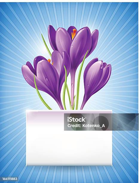 Cartão Com Flores De Primavera - Arte vetorial de stock e mais imagens de Azul - Azul, Açafrão, Beleza natural