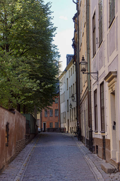 istock Empty alley amidst buildings in city 1641122988