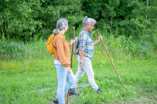 A senior couple take a hike on a warm summer day as they age gracefully and stay fit.  Both are dressed casually and have hiking poles to help them navigate the trail safely.