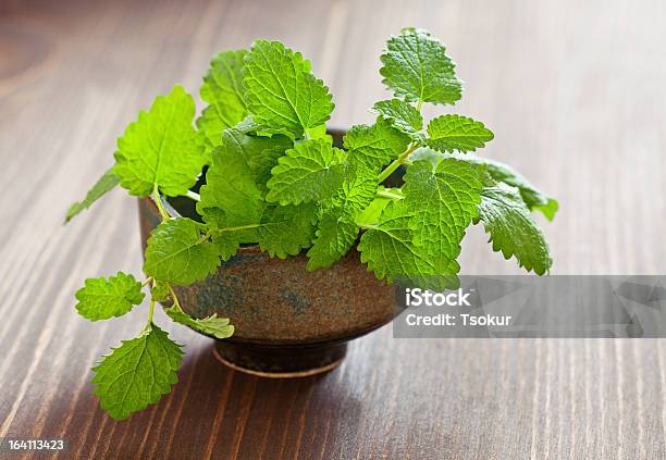 Lemon Balm Herb Stock Photo - Download Image Now - Botany, Branch - Plant Part, Bunch