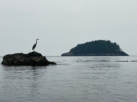 With an abundance of wildlife and recreational opportunities, Deception Pass State Park on Puget Sound is one of the Crown Jewels in the Washington State Parks system.