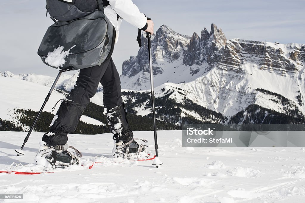 Sports d'hiver dans les Alpes - Photo de Raquette à neige libre de droits