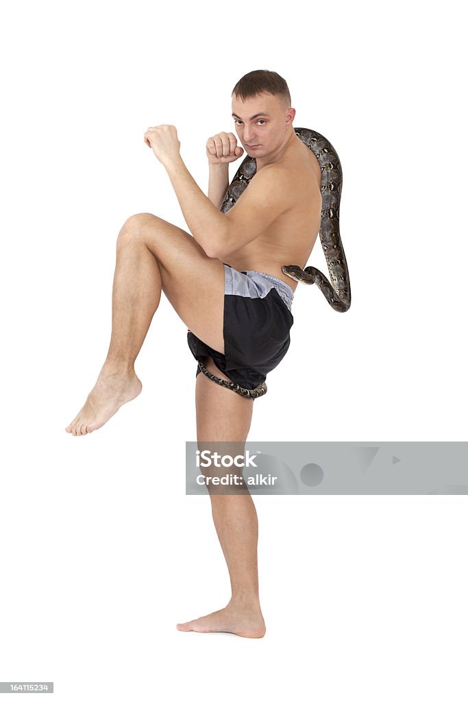 Fighter with snake Young man practicing Thai Boxing with python snake . Activity Stock Photo