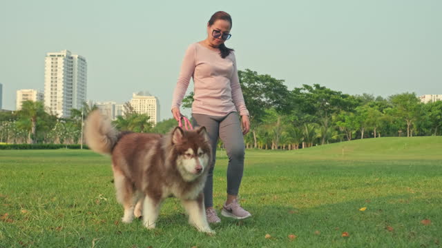 Female Owner Having Walk with Her Dog with Lame Paws in Park
