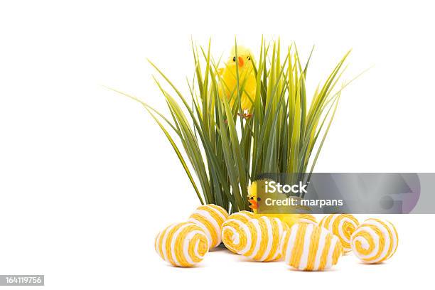 Buona Pasqua - Fotografie stock e altre immagini di Animale - Animale, Canna palustre, Colore verde