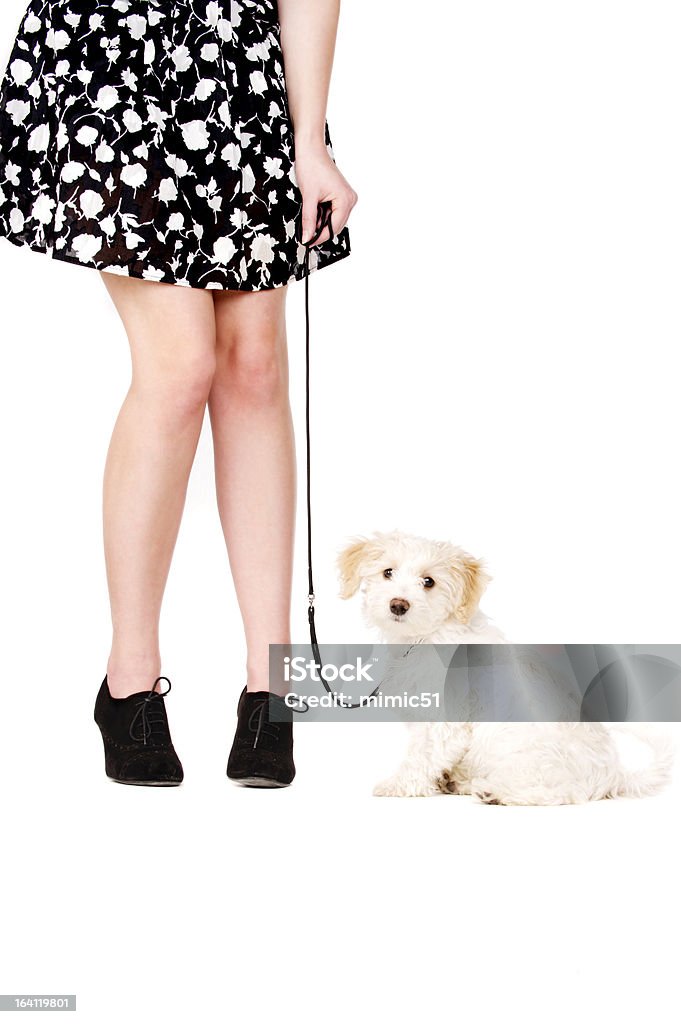 Cachorro junto a una de las piernas de la mujer en cable negro - Foto de stock de Correa para mascota libre de derechos