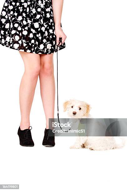 Cachorro Junto A Una De Las Piernas De La Mujer En Cable Negro Foto de stock y más banco de imágenes de Correa para mascota